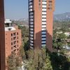 marcelinoache549