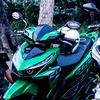 1budakgabut99