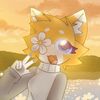 senpany_kit_s172