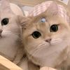 park_seong_min