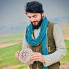 .badre.313
