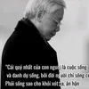 phanvnhng48