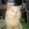nourbruh123