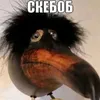 user17961848495558