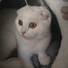mano.bili1385