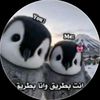 tasnim_736