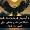 user85544244451142