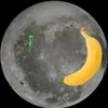 bannana_onthemoon