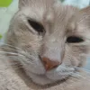 namjoonno.ismine