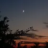 moonlover5801