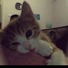 dilla_0809
