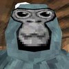 omar.gorilla.tag