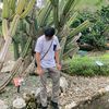 dvrhmt_
