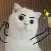 漫宅様