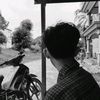 sigit_633