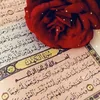 al._.sh4mikha