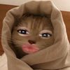nnyy_055