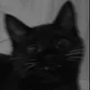 notflopparblx