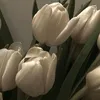 hsobb5