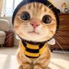kucing_oren171