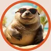 Foca na Compra