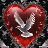 pascal.le.bg3
