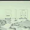 consultantbim