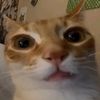 elyapp1ng_1