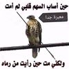user3501478154055