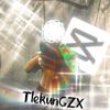 tle_edit