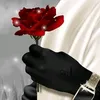v5_8.0