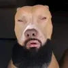 mr_yippers