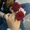 user457147104