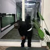dailybala