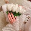 s__ara.16