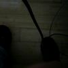 lucusnorth3