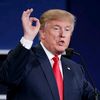 Donald J Trump (fan)