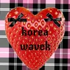 korea.wavek