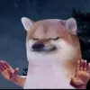 nasuvxh_gj