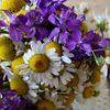 urfan_63_63