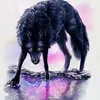 wolfschwarz2