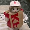 pollo_conpapas023