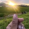 tanz_alamsyahhh