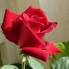 omer5.27