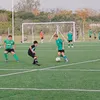 proverde11