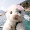 onlyr4bbit.claryn