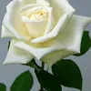 user3575411660761