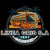linea_gris_19