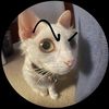 number1_pussylicker69