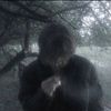 sn7_7s